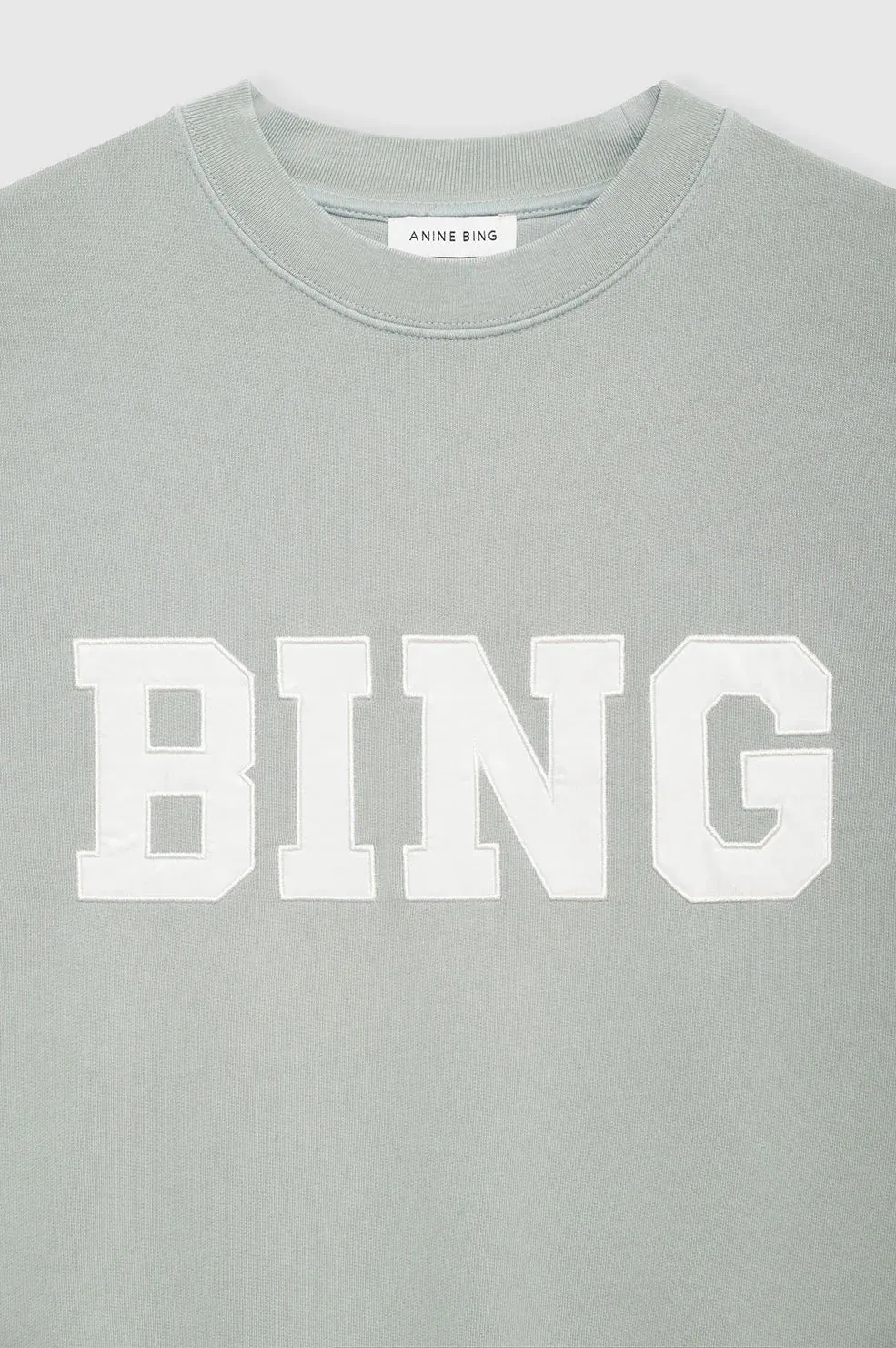 Anine Bing Tyler Sweatshirt Satin BING - Sage Green