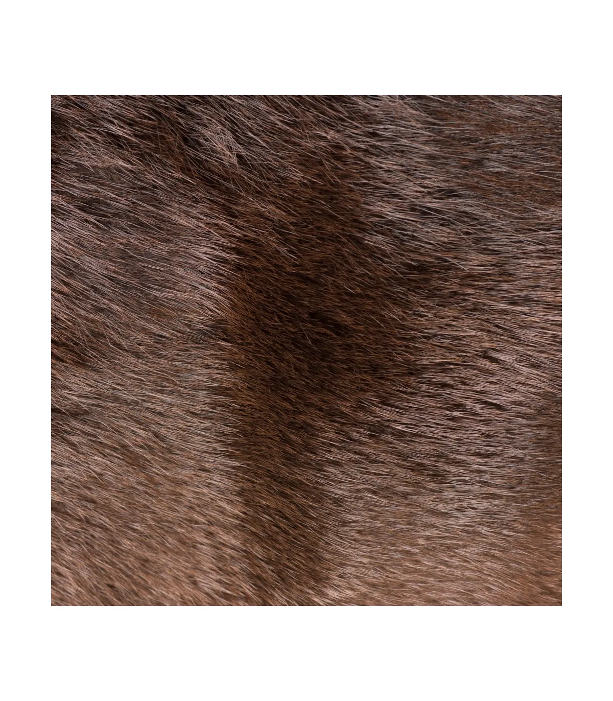 Beaver Rug - Buy Real Fur Rugs at FurSource.com