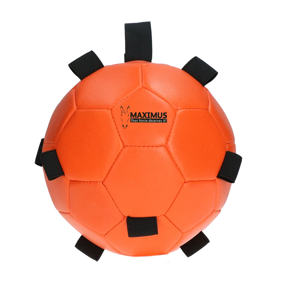 Maximus Fun Play Ball Orange