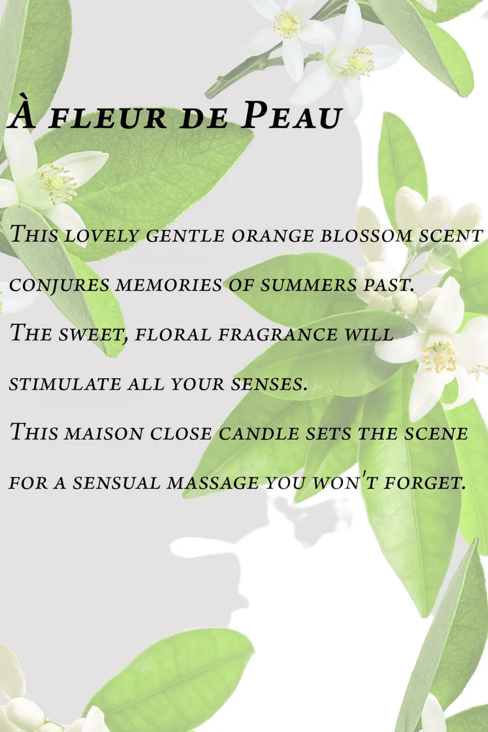 Orange Blossom Massage Candle