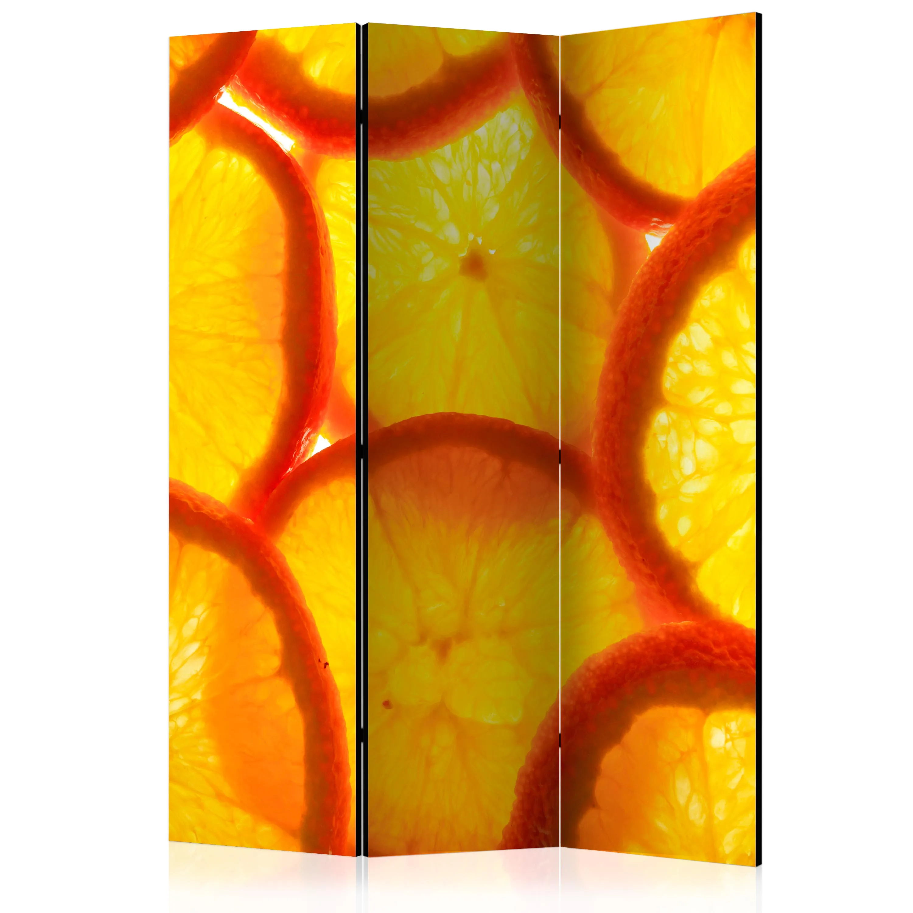 Paravento Orange slices [Room Dividers]